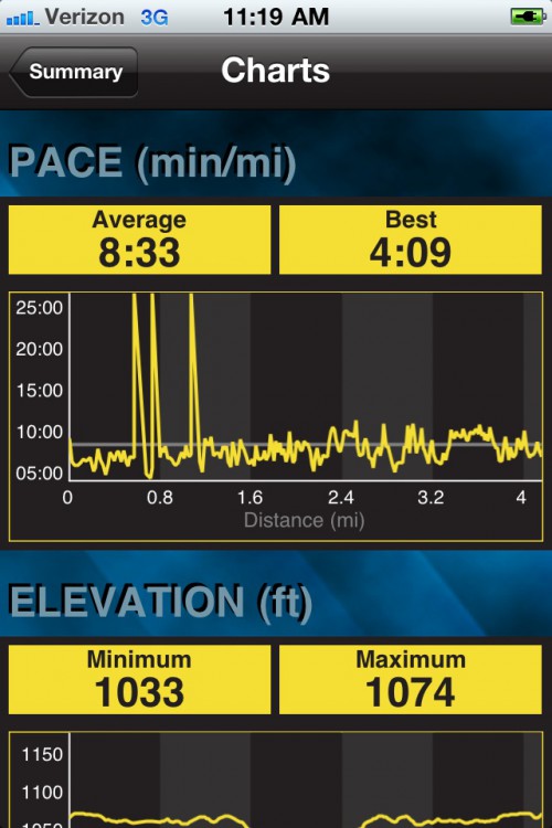 Garmin Fit