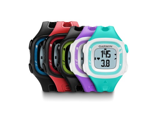 Forerunner 15