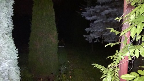 Z diodą LED