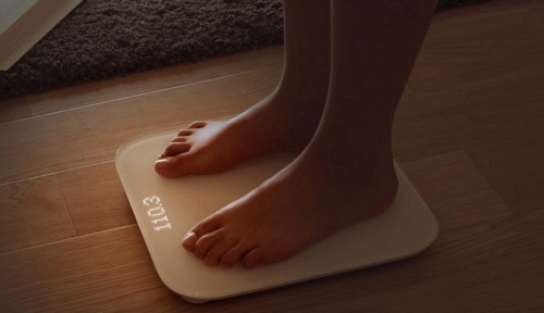 Xiaomi Mi Smart Scale