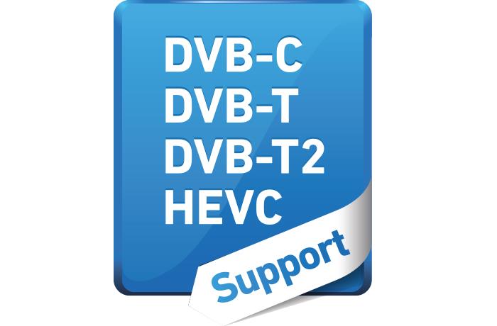 Tuner TV TD310