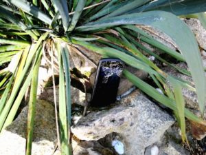 Archos Sense 50X