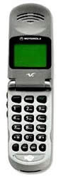 Motorola v50