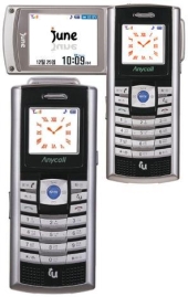 Samsung SGH-B100