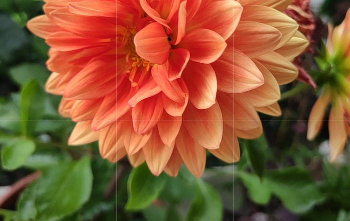 Screenshot 2019 06 02 17 14 18 273 com.android.camera