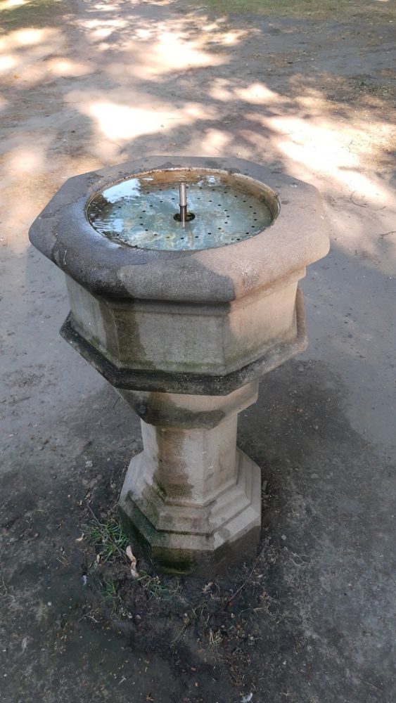 IMG 20190711 181154094