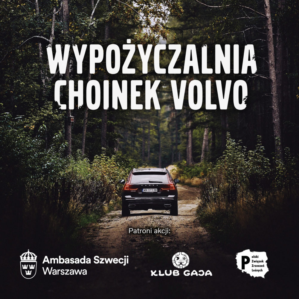 VOLP Choinka 2019 Patroni 1200x1200px